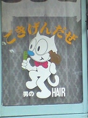 kんち