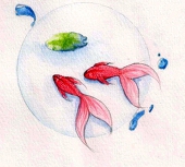 Krill
