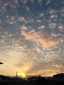 momongahime