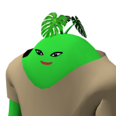 dycoon