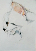 keda