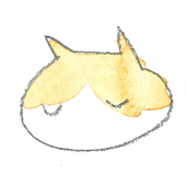 hacoyama