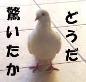 夕焼け
