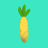 InvisibleCarrot