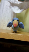 モヨコ