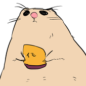 りさ