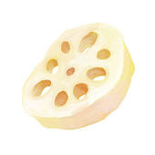 蓮根