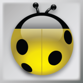 yjbeetle
