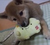 優希
