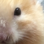 片瀬