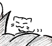 もこお(猫マミれ)