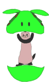 ササメ