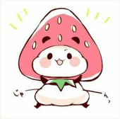 aoi🐾