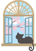 よぞら