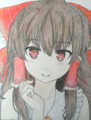 黒猫