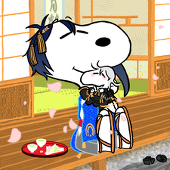 ソテツ