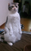 みちよ
