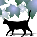 森猫アキラ