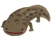両生類