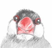ミズヒコ