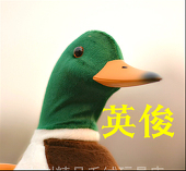 火楼楼