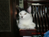 cfy