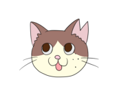 Togi