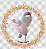 ゆた