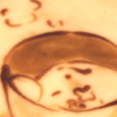 七篠創太