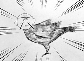 カラカボチャ