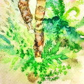 せんさー(創作)