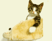Kiki