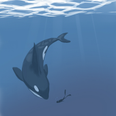 O.orca