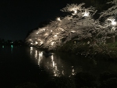 まおり