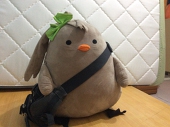 貓手阿瑋