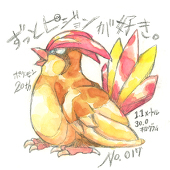 No.017