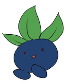ハイジ