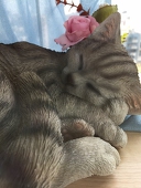 十望