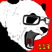 113