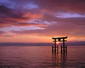 せなちゃ