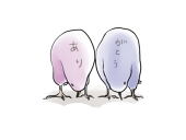 ことひき