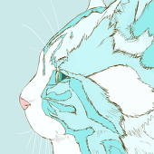 まるかつ