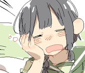 nmccwss