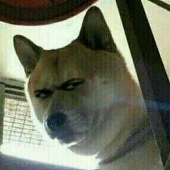 mikiakiraoacctm