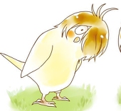 うーみぃ