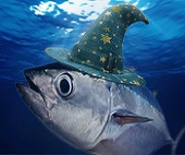 MagicTuna