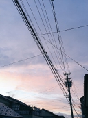織