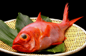 金目鯛(深海)