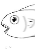 お魚