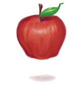 PanPanSan